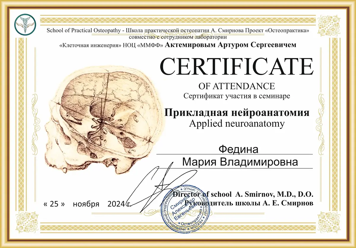 Прикладная нейроанатомия